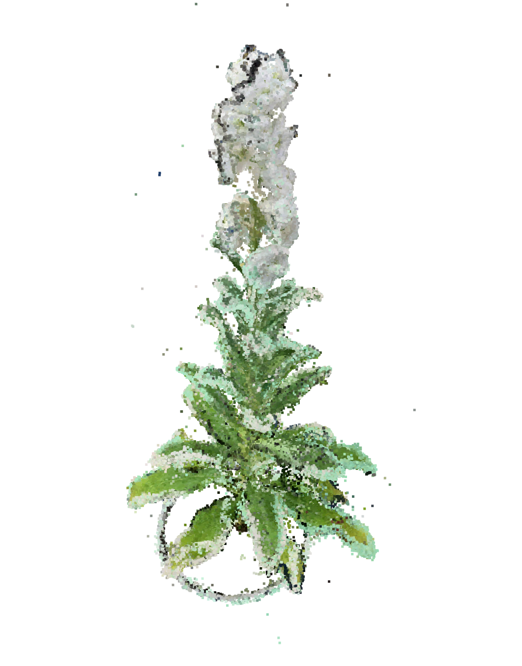 Image in a image block